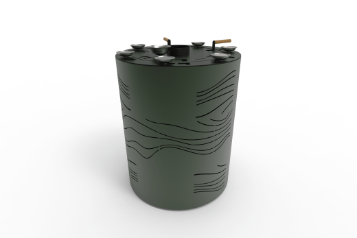 Хумай фото в Санкт-Петербурге